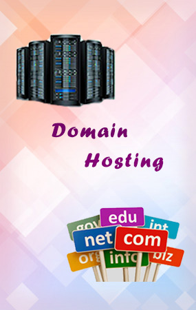 domain hosting ranipet